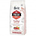 Brit Dog Fresh Beef & Pumpkin Puppy Large 12kg