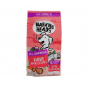 BARKING HEADS All Hounder Hair Necessities Salmon 12kg