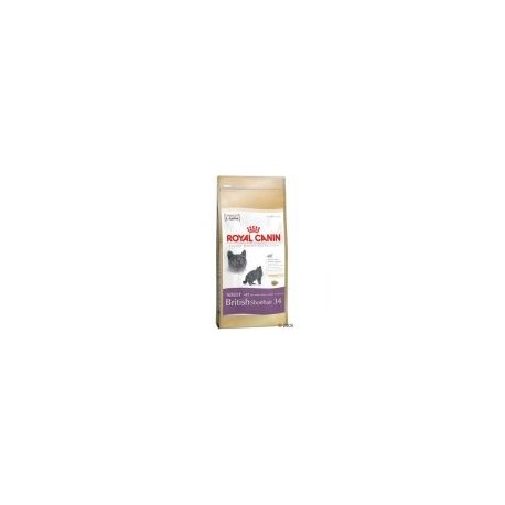 Royal Canin British Shorthair Cat 10 kg