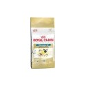 Royal Canin Persian Cat 10 kg